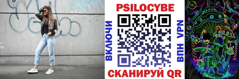 цены   Владимир  Псилоцибиновые грибы GOLDEN TEACHER 
